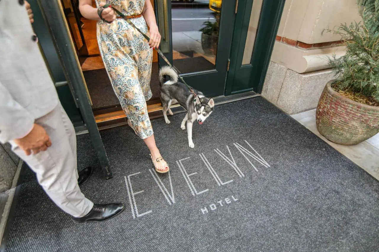 The Evelyn Nomad Hotel New York 5*,